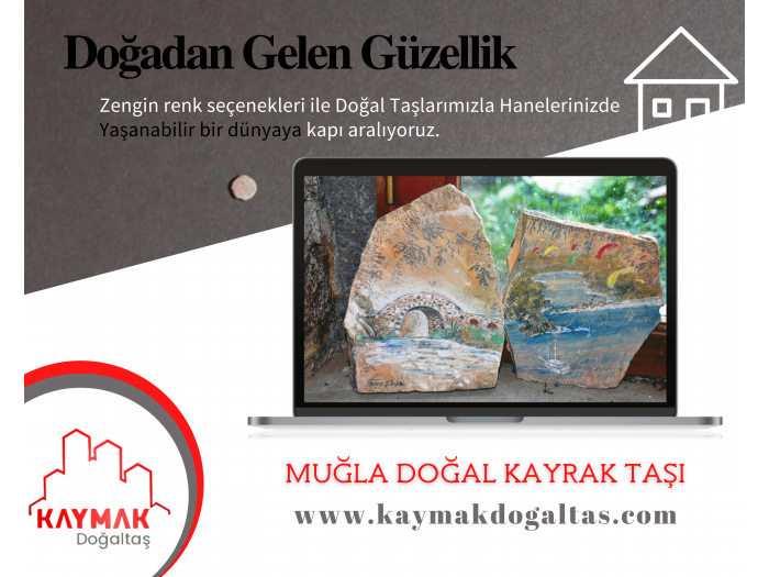 FOSİLLİ KAYRAK TAŞI