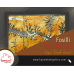 FOSİLLİ KAYRAK TAŞI