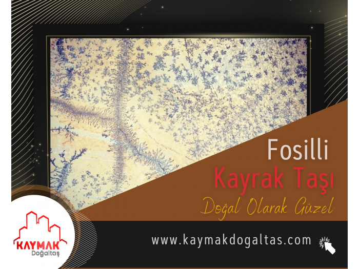 FOSİLLİ KAYRAK TAŞI