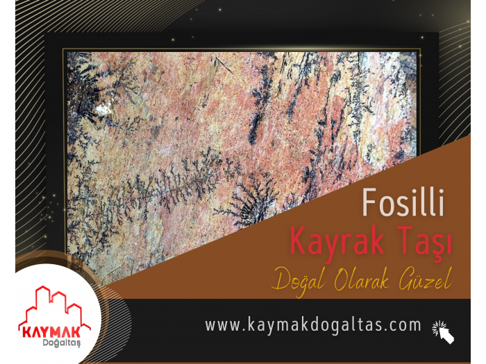 FOSİLLİ KAYRAK TAŞI FOSİLLİ KAYRAK TAŞI