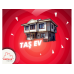 TAŞ EV